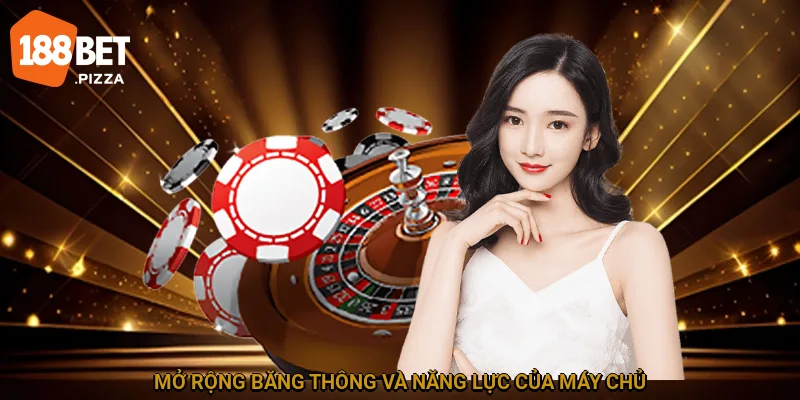 Chống DDoS - Bảo Vệ An Toàn Cho Doanh Nghiệp Trực Tuyến 3 Mở rộng băng thông và năng lực của máy chủ